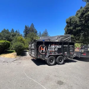 junk removal services