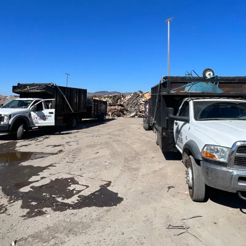 premier junk removal